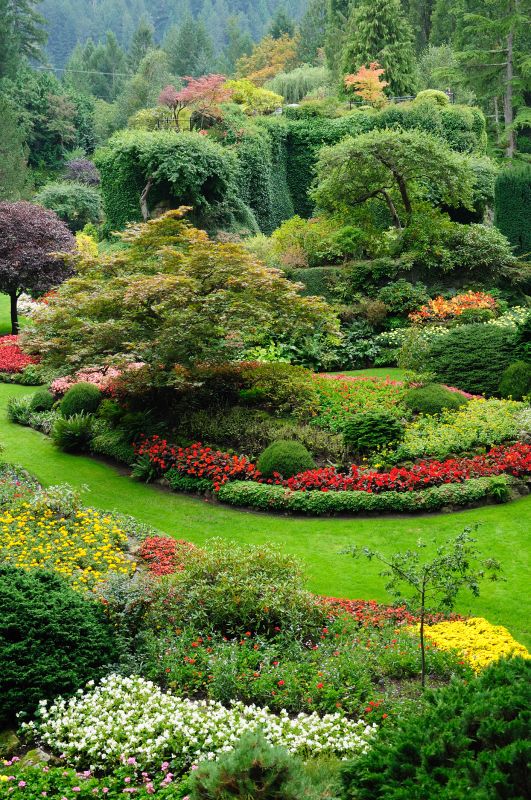 Commercial Landscaping in Honolulu, HI