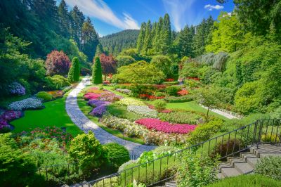 How Professional Landscaping Improves Curb Appeal